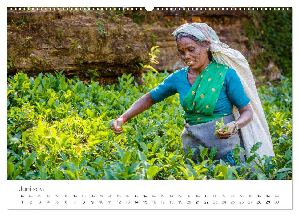 Sri Lanka - Paradies im indischen Ozean (CALVENDO Premium Wandkalender 2025)