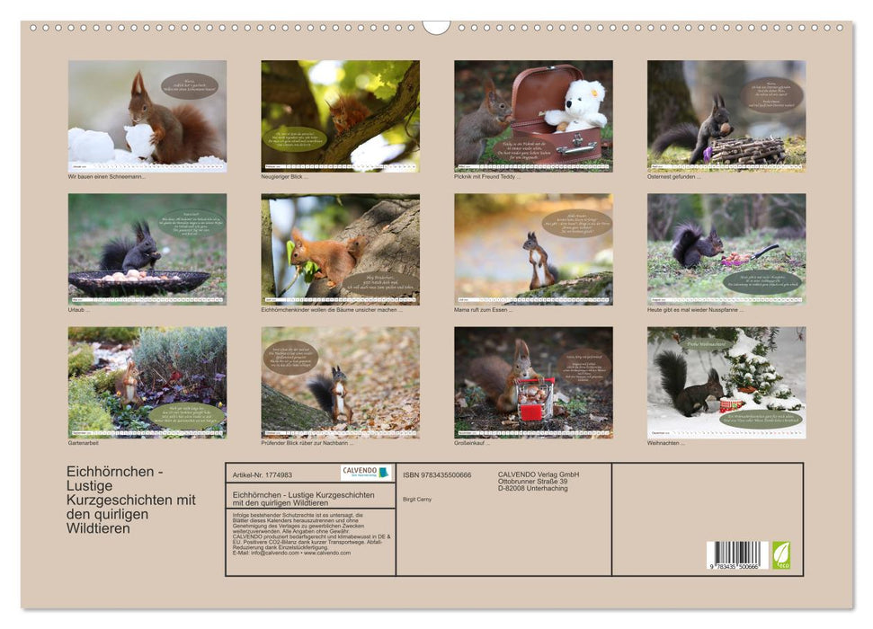 Eichhörnchen - Lustige Kurzgeschichten mit den quirligen Wildtieren (CALVENDO Wandkalender 2025)