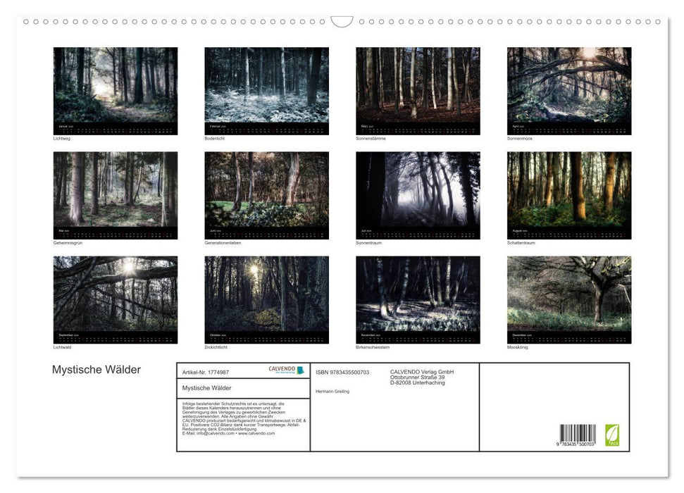 Mystische Wälder (CALVENDO Wandkalender 2025)