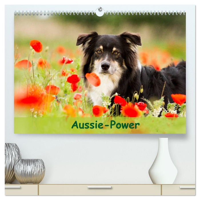 Aussie-Power (CALVENDO Premium Wandkalender 2025)