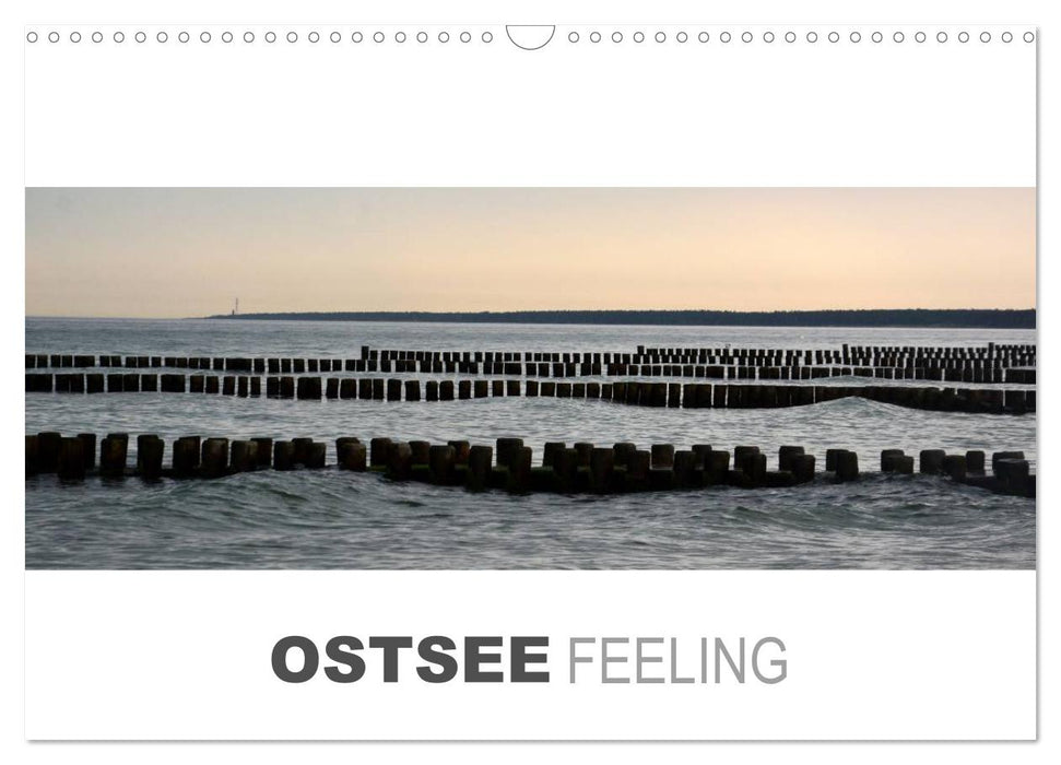 Ostseefeeling (CALVENDO Wandkalender 2025)