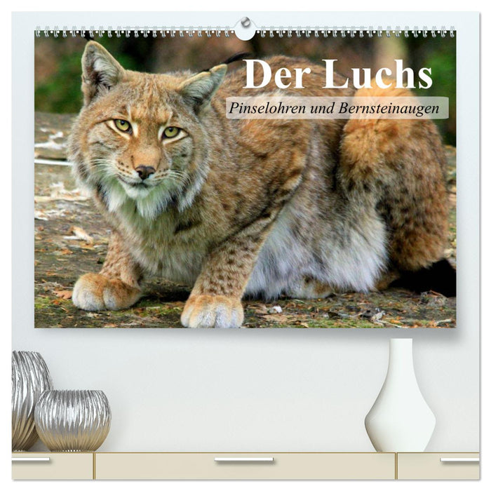 Der Luchs. Pinselohren und Bernsteinaugen (CALVENDO Premium Wandkalender 2025)