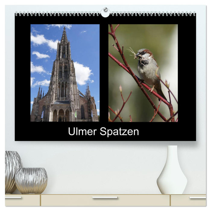 Ulmer Spatzen (CALVENDO Premium Wandkalender 2025)