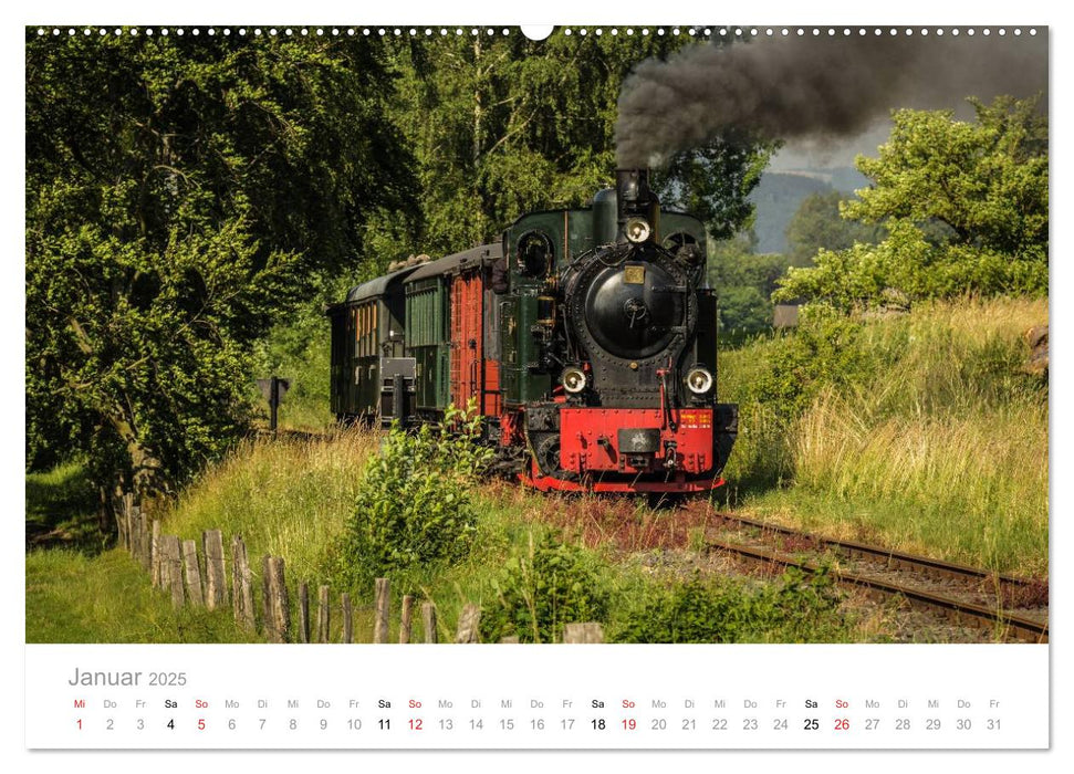 Schmalspurbahn Dampflok Bieberlies (CALVENDO Premium Wandkalender 2025)