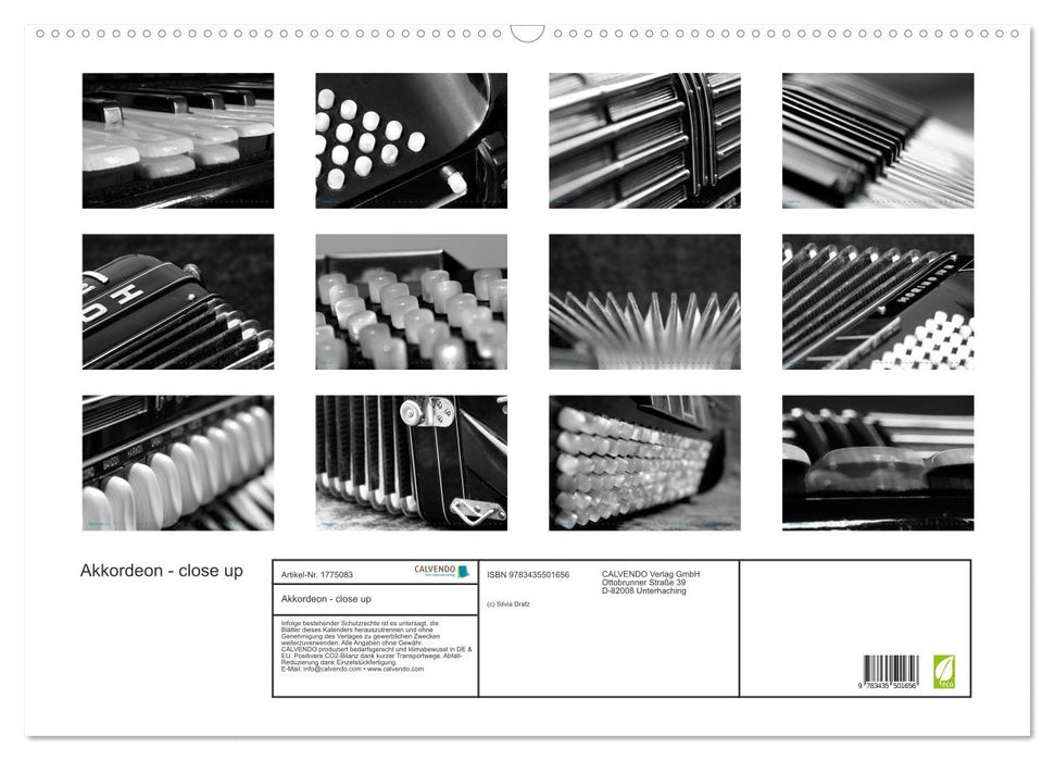 Akkordeon - close up (CALVENDO Wandkalender 2025)