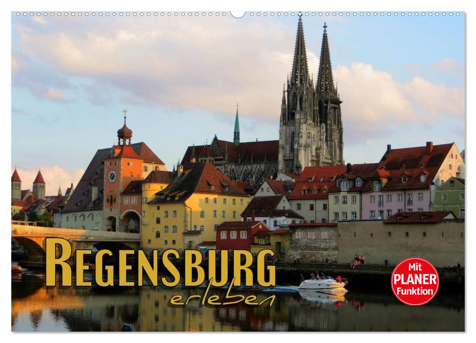 Regensburg erleben (CALVENDO Wandkalender 2025)