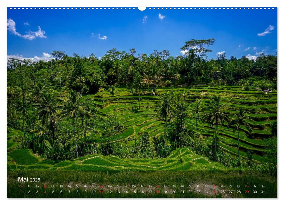 Bali - Insel der Tempel, Götter und Dämonen (CALVENDO Premium Wandkalender 2025)