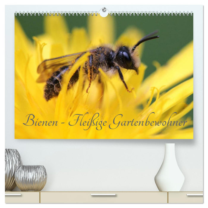 Bienen - Fleißige Gartenbewohner (CALVENDO Premium Wandkalender 2025)