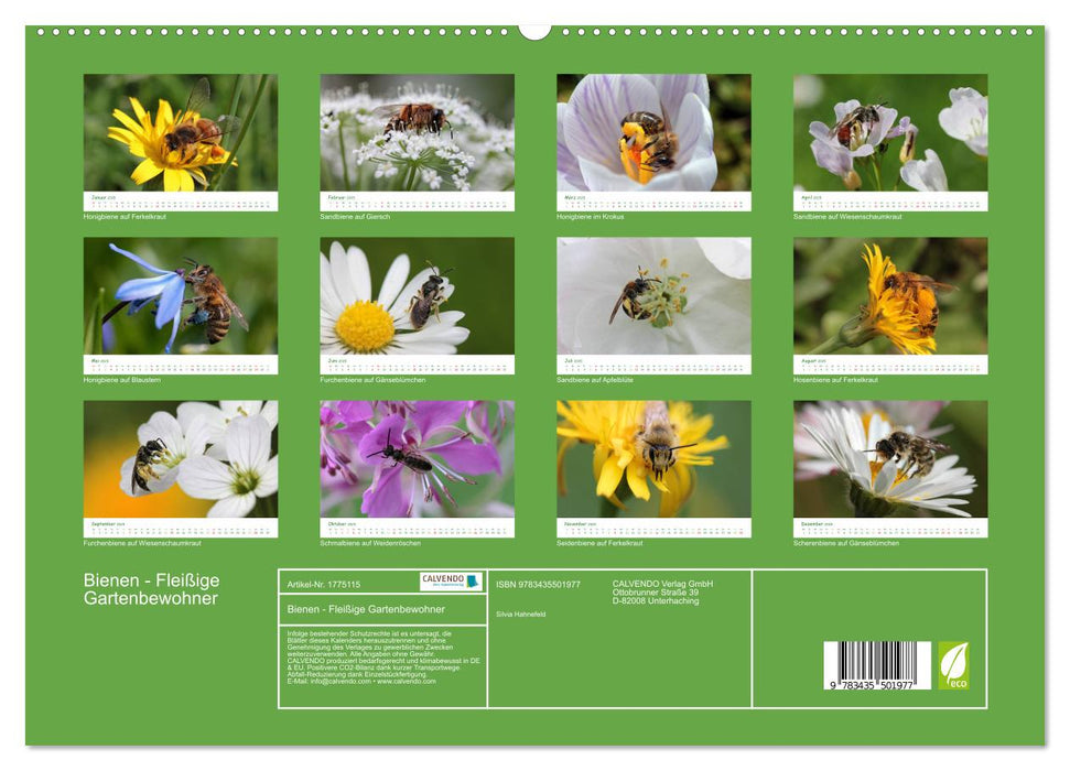 Bienen - Fleißige Gartenbewohner (CALVENDO Premium Wandkalender 2025)