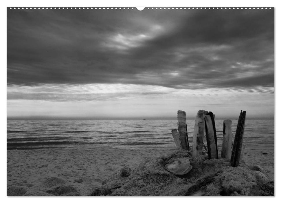 54°54'57"N 8°19'51"E SYLT (CALVENDO Premium Wandkalender 2025)