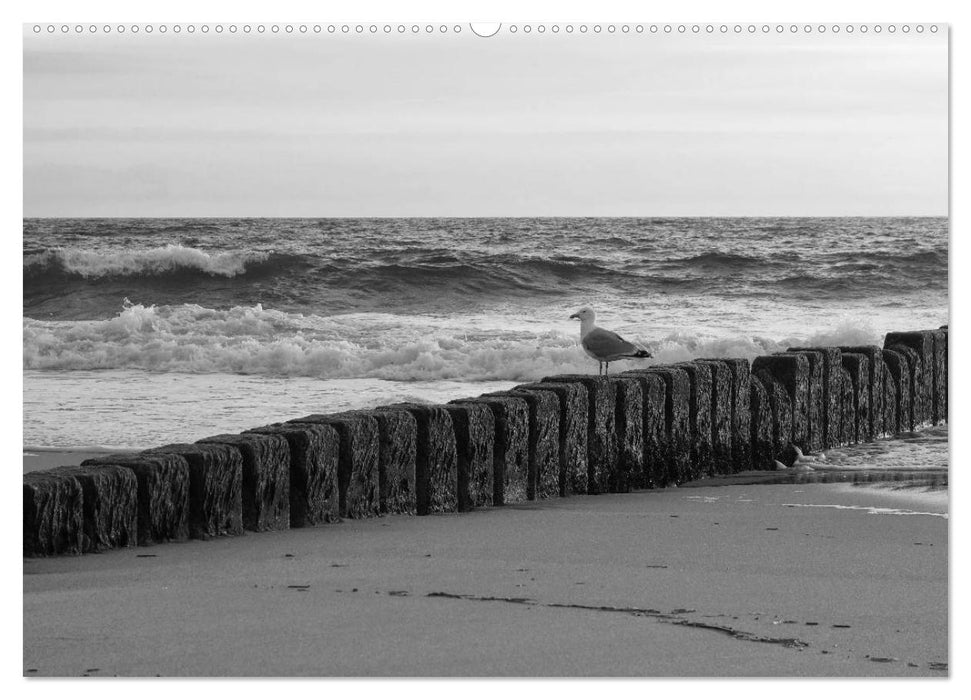 54°54'57"N 8°19'51"E SYLT (CALVENDO Premium Wandkalender 2025)