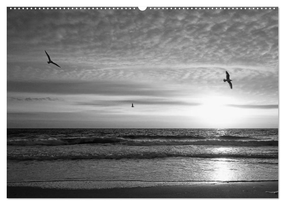 54°54'57"N 8°19'51"E SYLT (CALVENDO Premium Wandkalender 2025)