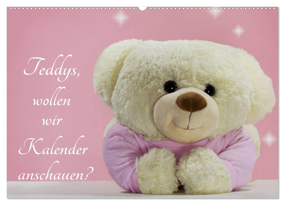 Teddys, wollen wir Kalender anschauen? (CALVENDO Wandkalender 2025)