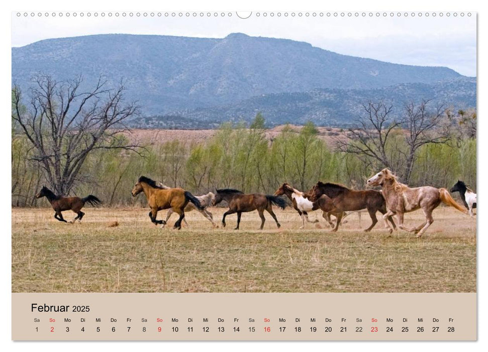 Wildpferde. Frei wie der Wind (CALVENDO Premium Wandkalender 2025)