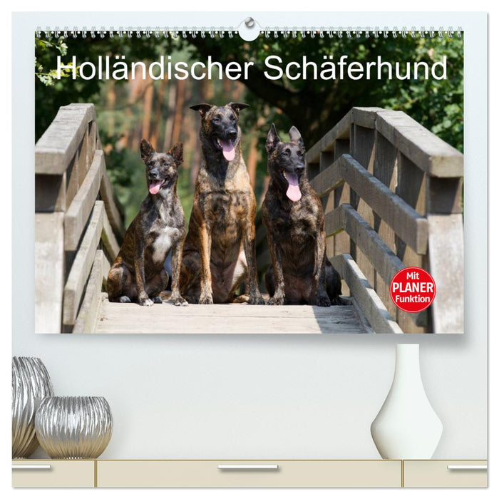 Holländischer Schäferhund (CALVENDO Premium Wandkalender 2025)