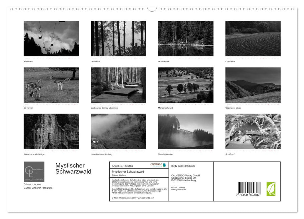 Mystischer Schwarzwald (CALVENDO Premium Wandkalender 2025)