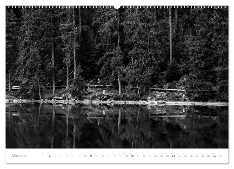 Mystischer Schwarzwald (CALVENDO Premium Wandkalender 2025)