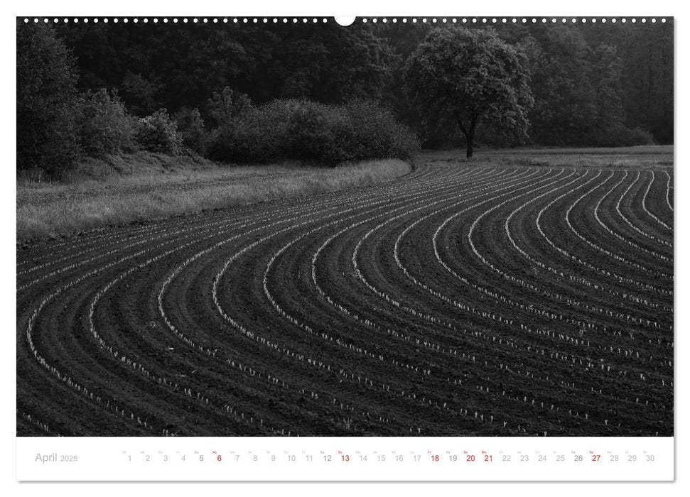 Mystischer Schwarzwald (CALVENDO Premium Wandkalender 2025)