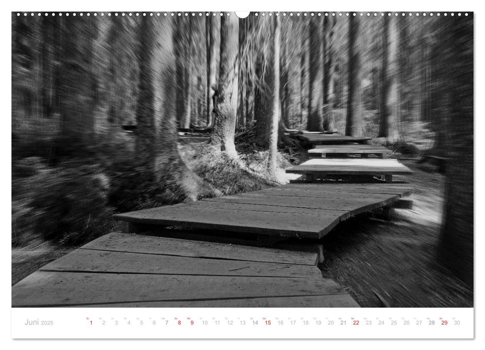 Mystischer Schwarzwald (CALVENDO Premium Wandkalender 2025)