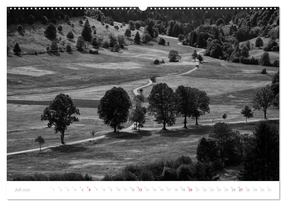 Mystischer Schwarzwald (CALVENDO Premium Wandkalender 2025)