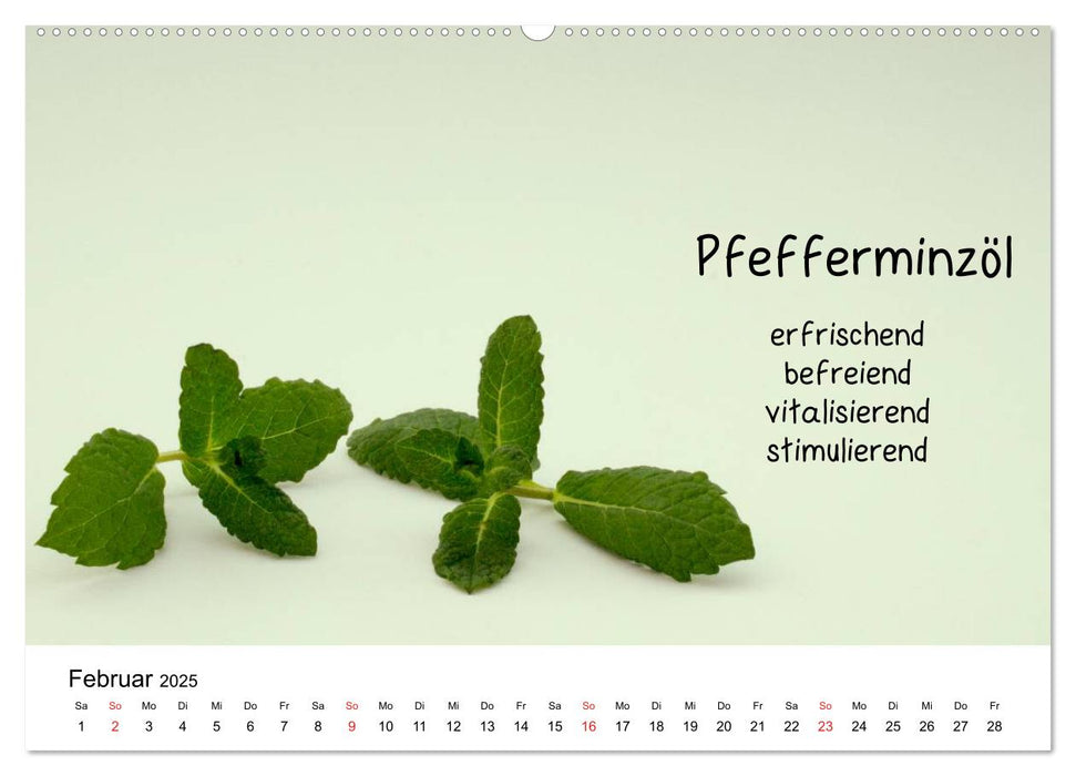 Aromatherapie - Düfte für die Seele (CALVENDO Premium Wandkalender 2025)