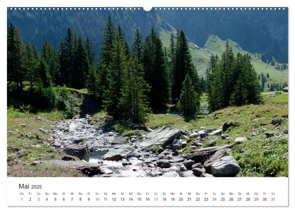 Schweizer Panoramen (CALVENDO Premium Wandkalender 2025)