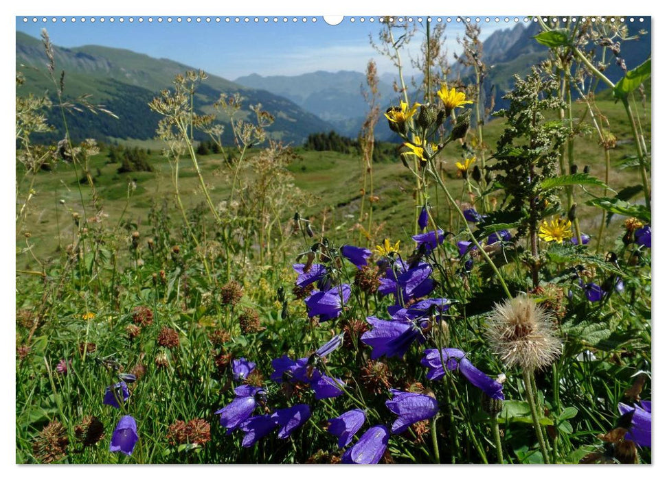 Schweizer Panoramen (CALVENDO Premium Wandkalender 2025)