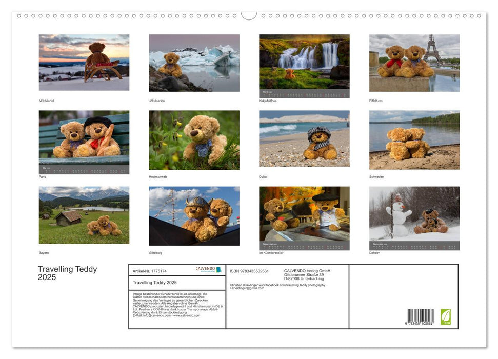 Travelling Teddy 2025 (CALVENDO Wandkalender 2025)