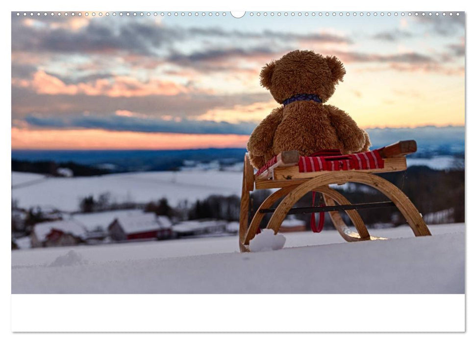 Travelling Teddy 2025 (CALVENDO Wandkalender 2025)