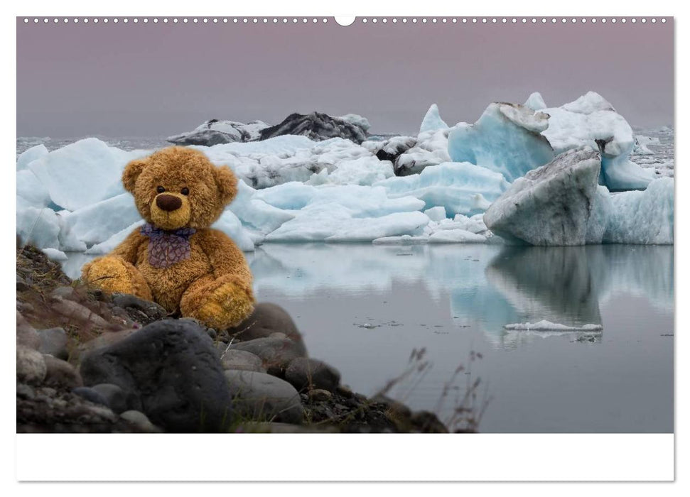 Travelling Teddy 2025 (CALVENDO Wandkalender 2025)