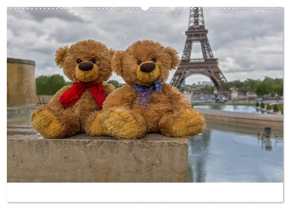 Travelling Teddy 2025 (CALVENDO Wandkalender 2025)