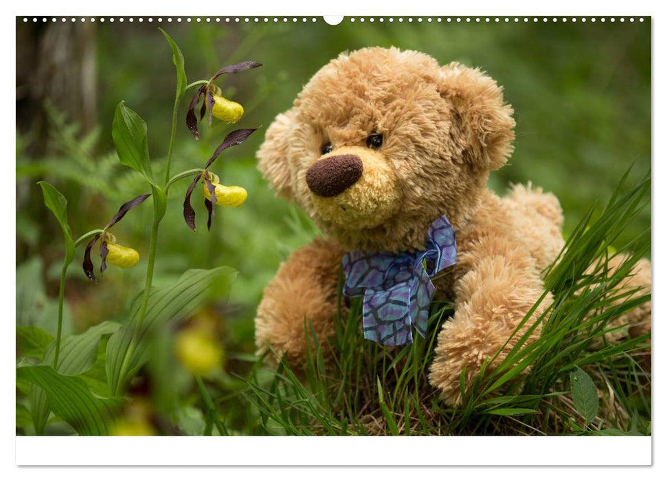 Travelling Teddy 2025 (CALVENDO Wandkalender 2025)