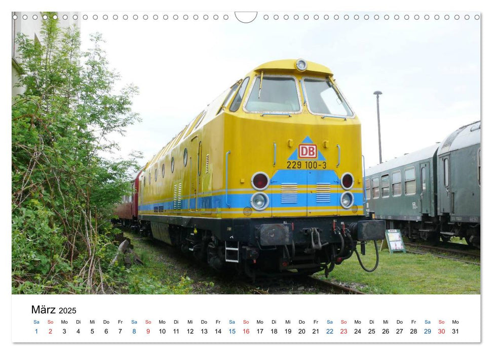 U-Boot trifft Babelsbergerin. Die Baureihen 118 und 119 der Deutschen Reichsbahn (CALVENDO Wandkalender 2025)