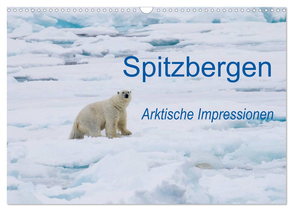 Spitzbergen - Arktische Impressionen (CALVENDO Wandkalender 2025)