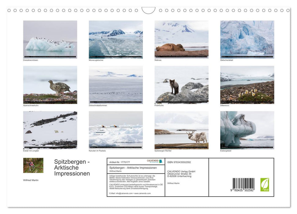 Spitzbergen - Arktische Impressionen (CALVENDO Wandkalender 2025)