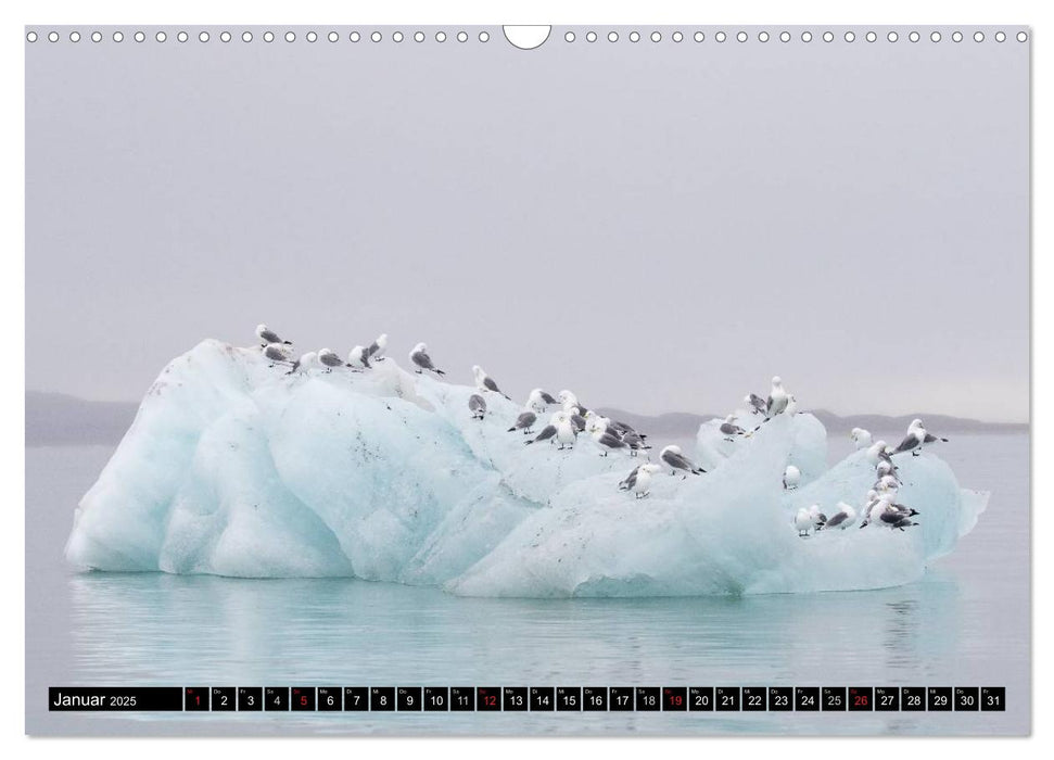 Spitzbergen - Arktische Impressionen (CALVENDO Wandkalender 2025)