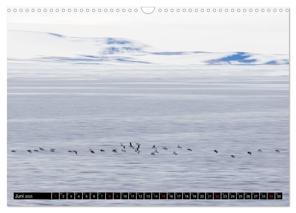 Spitzbergen - Arktische Impressionen (CALVENDO Wandkalender 2025)