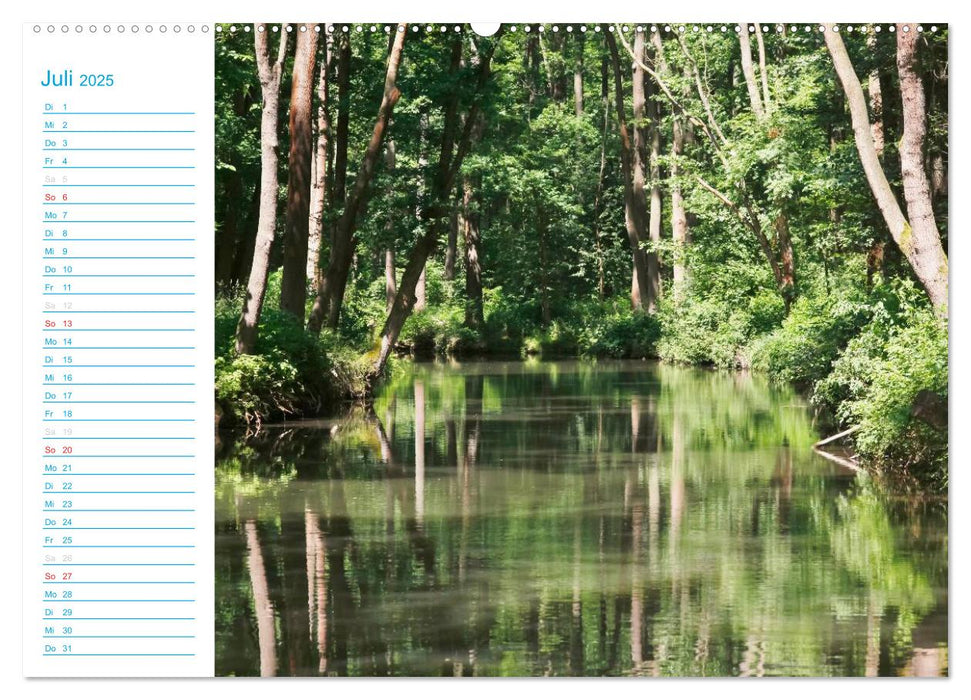 Wunderschöner Spreewald (CALVENDO Premium Wandkalender 2025)