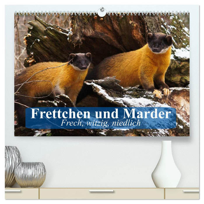 Frettchen und Marder. Frech, witzig, niedlich (CALVENDO Premium Wandkalender 2025)