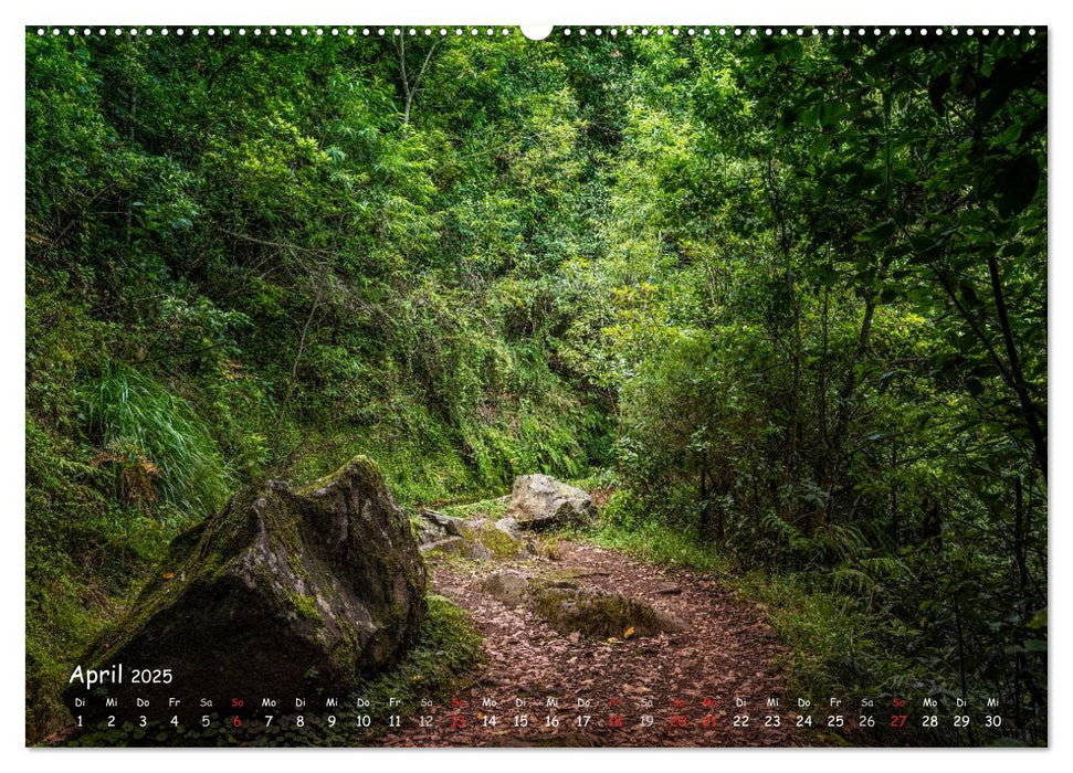 Madeira, die Insel im Atlantik (CALVENDO Premium Wandkalender 2025)