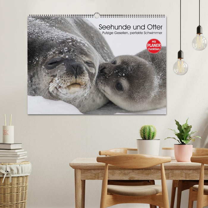 Seehunde und Otter. Putzige Gesellen, perfekte Schwimmer (CALVENDO Wandkalender 2025)