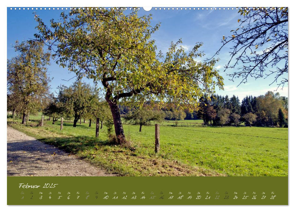 Spaziergang um das Kloster St. Ottilien (CALVENDO Premium Wandkalender 2025)