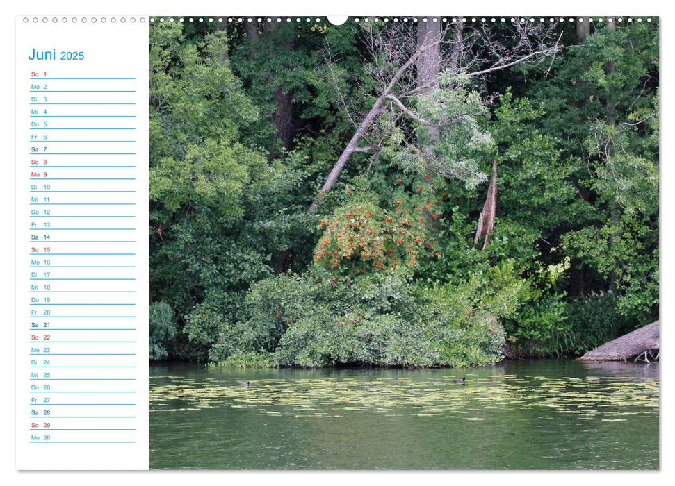 Urlaubsparadies Scharmützelsee (CALVENDO Premium Wandkalender 2025)