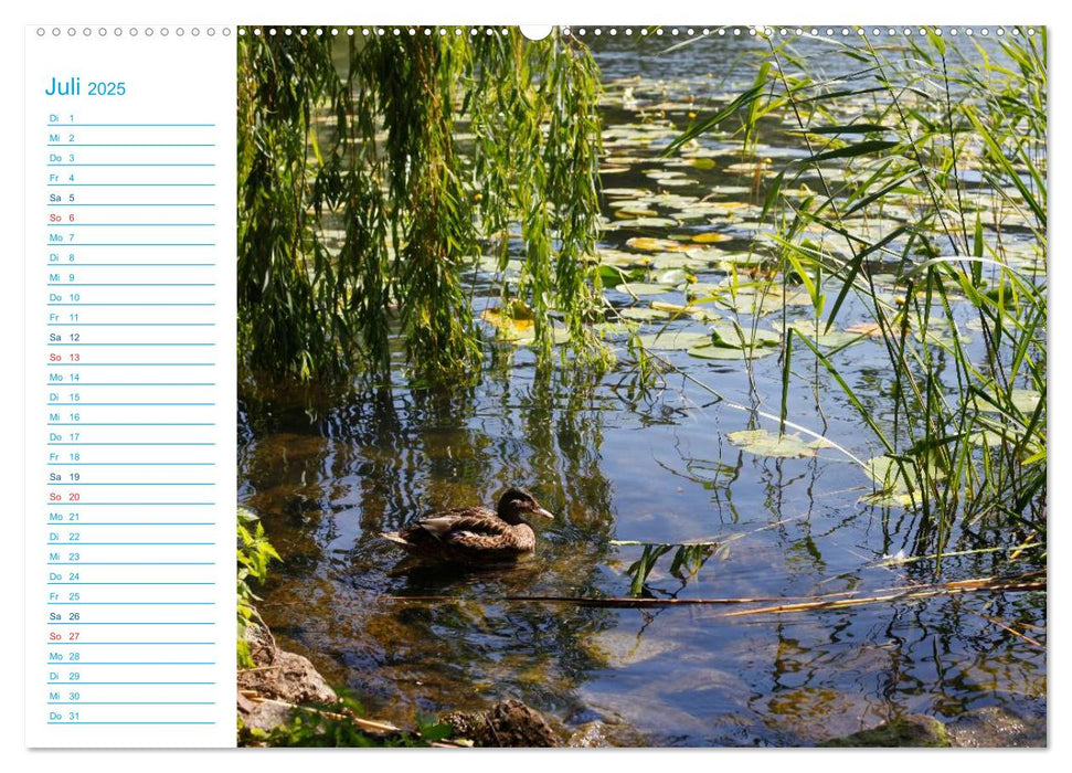 Urlaubsparadies Scharmützelsee (CALVENDO Premium Wandkalender 2025)