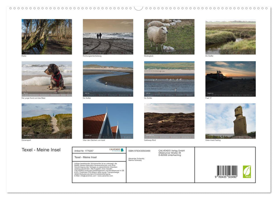 Texel - Meine Insel (CALVENDO Premium Wandkalender 2025)