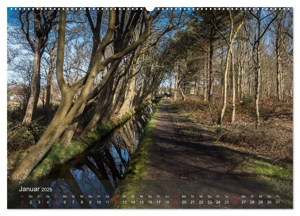 Texel - Meine Insel (CALVENDO Premium Wandkalender 2025)