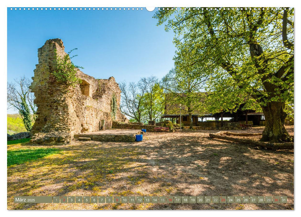 Burgen in Rheinland-Pfalz (CALVENDO Premium Wandkalender 2025)