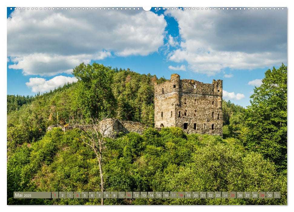 Burgen in Rheinland-Pfalz (CALVENDO Premium Wandkalender 2025)