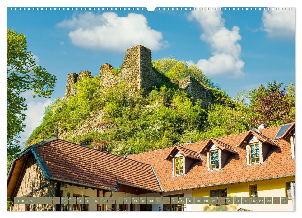 Burgen in Rheinland-Pfalz (CALVENDO Premium Wandkalender 2025)