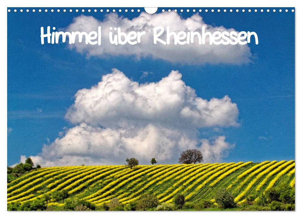 Himmel über Rheinhessen (CALVENDO Wandkalender 2025)